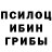 Псилоцибиновые грибы мухоморы Kirill Tulupov