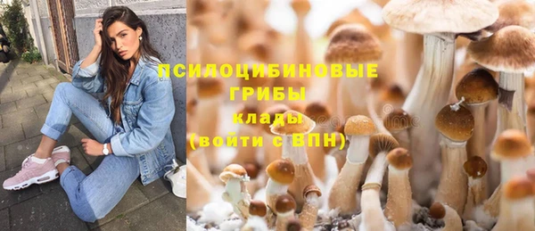 не бодяженный Богородск